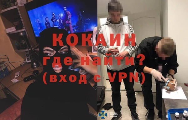 мдпв Алексин