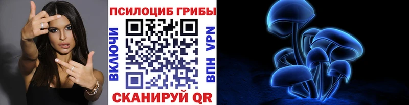 как найти   Адыгейск  Галлюциногенные грибы MAGIC MUSHROOMS 